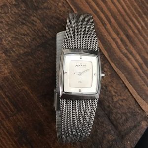 Women’s Skagen Watch Satinless Steel Mesh Band